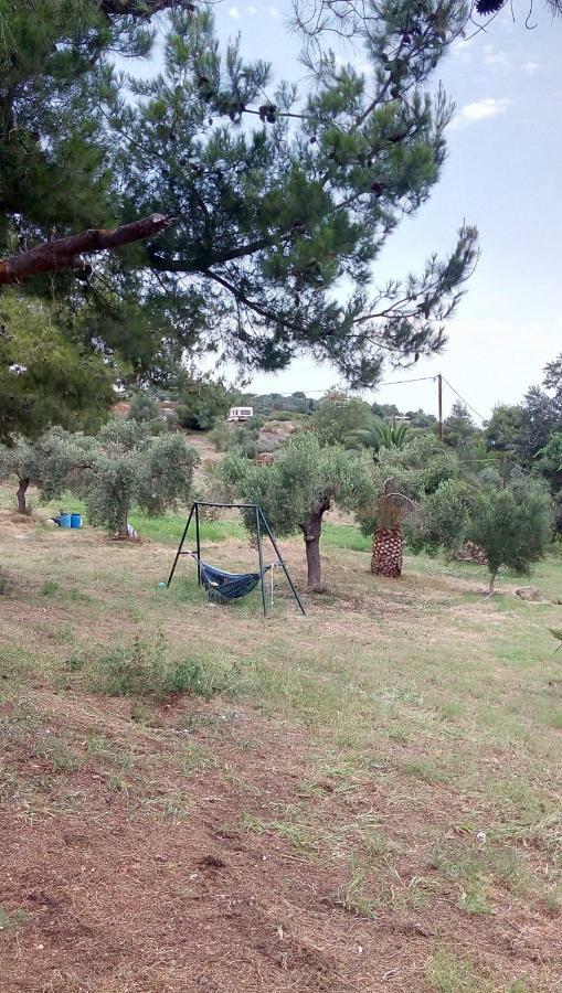 House Lagonisi Ormos Panagias Buitenkant foto