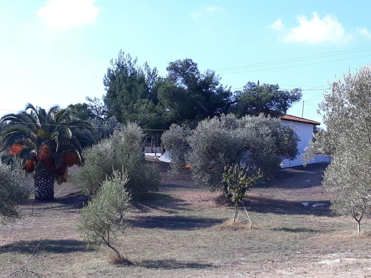 House Lagonisi Ormos Panagias Buitenkant foto
